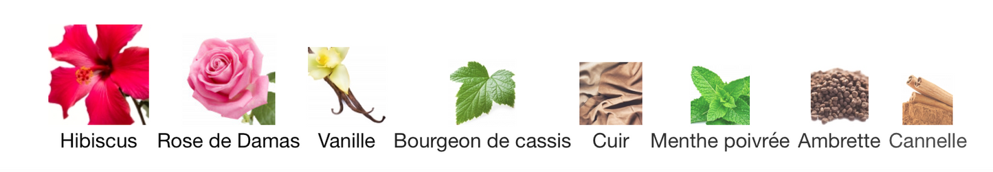 MAISON CRIVELLI Hibiscus Mahajad