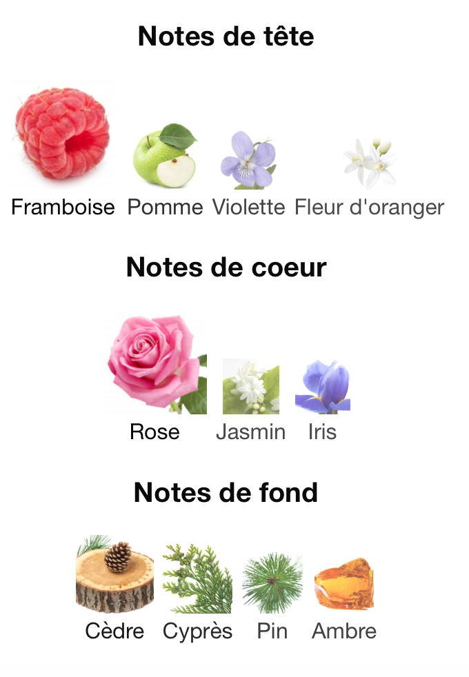 RAMON MONEGAL Flamenco