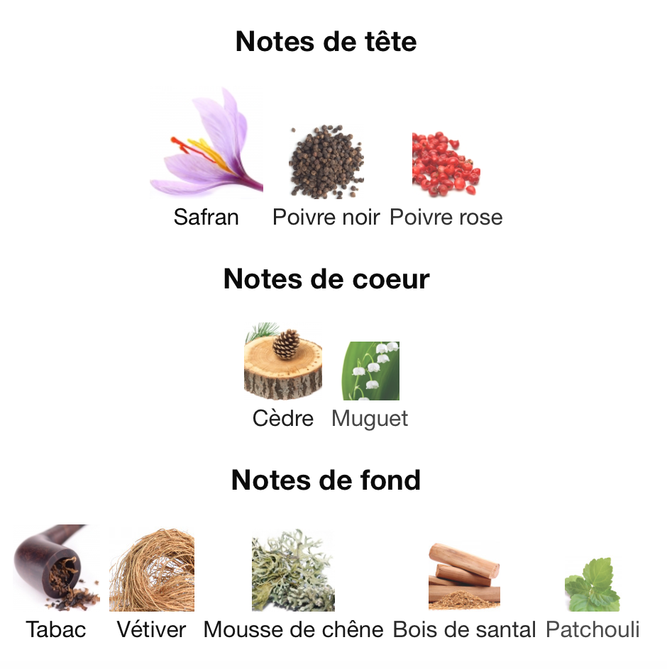 EX NIHILO Outcast Blue