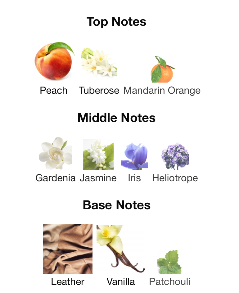 NISHANE Hundred Silent Ways X