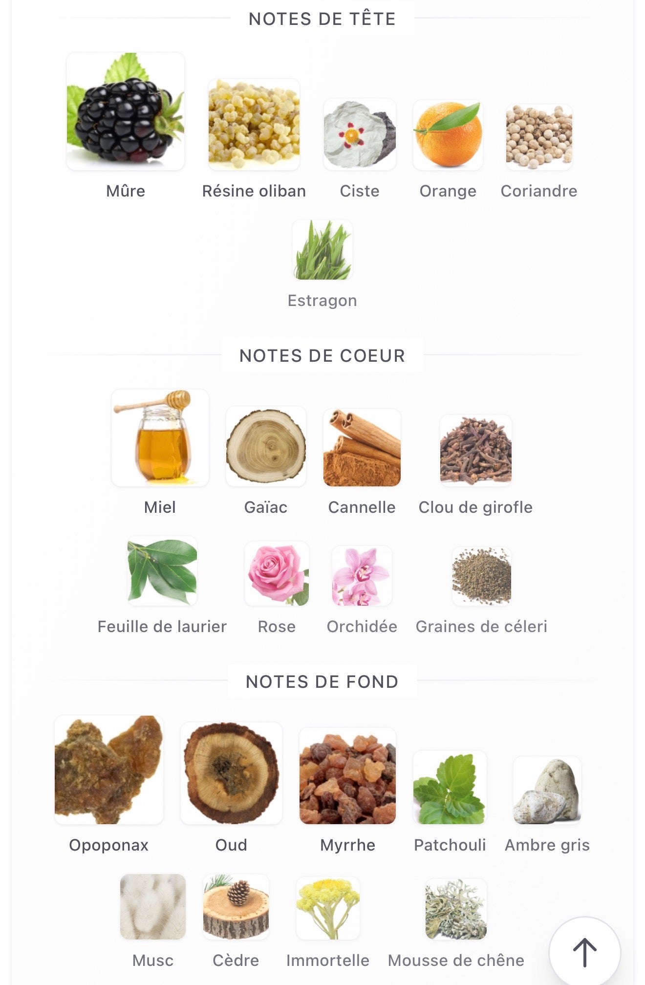 AMOUAGE Jubilation XXV