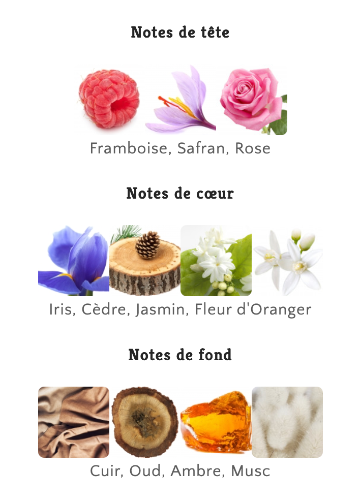 RAMON MONEGAL Flamenco Extrait