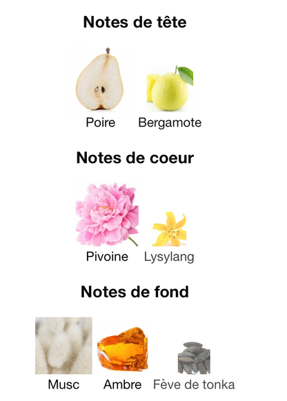 EX NIHILO Gold Immortals Ambre  Edition DUBAI MALL