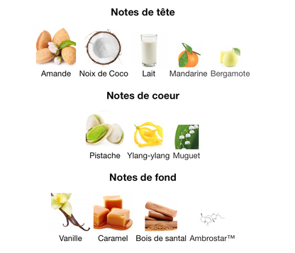 SCENTOLOGIA Lactonic