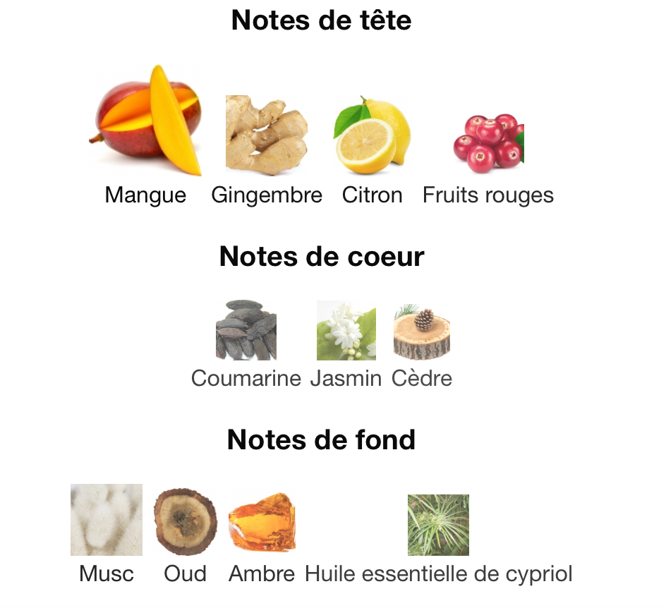 STEPHANE HUMBERT LUCAS God Of Fire