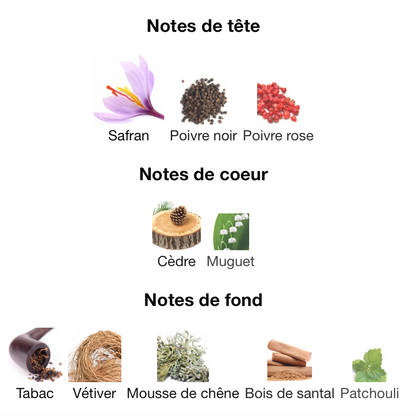 EX NIHILO Outcast Blue