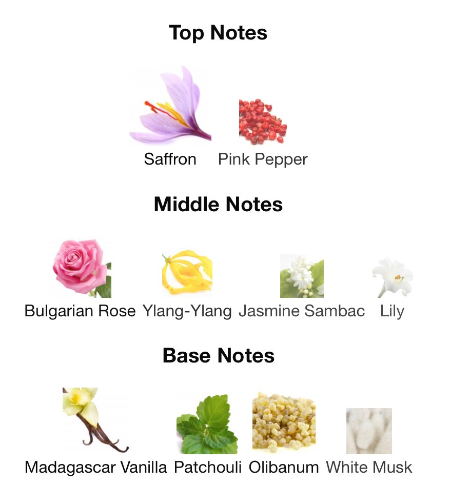 EX NIHILO Brompton Immortal Harrods Exclusive