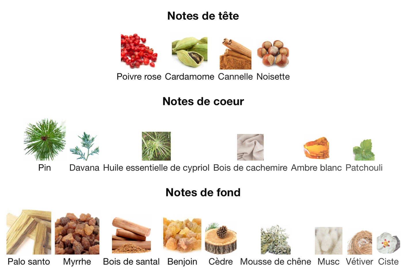 AMOUAGE Reasons