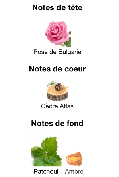 ESPRIT DE PARFUM Gris