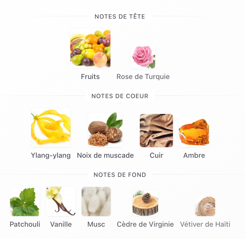 XERJOFF OPERA
