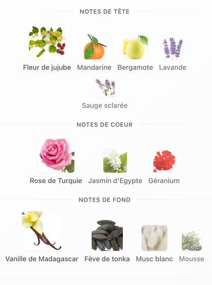 FLORAIKU AND YOUR LIPS