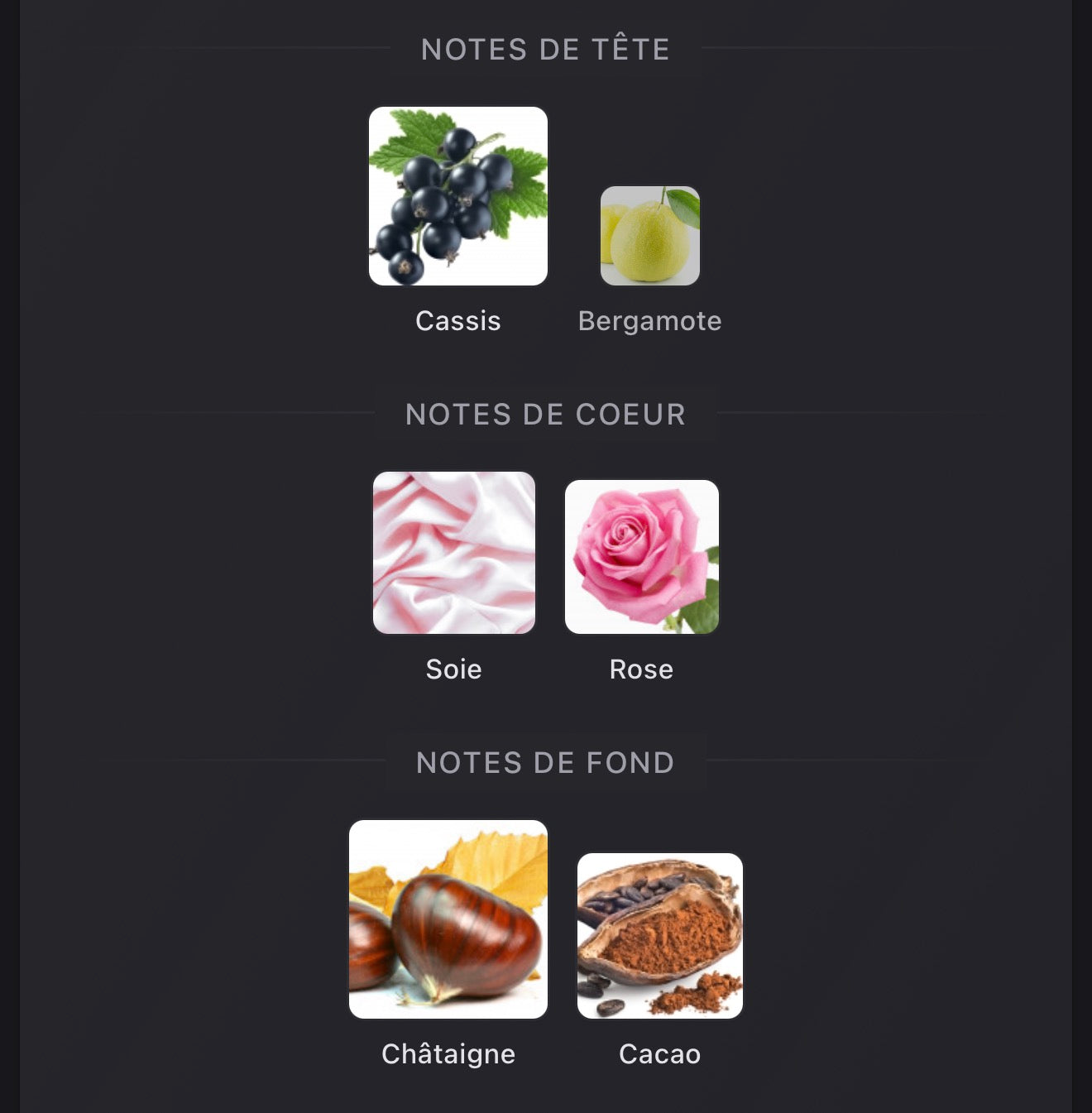 DRIES VAN NOTEN Soie Malaquais