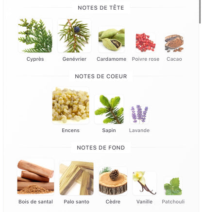 AMOUAGE Opus XVI Timber