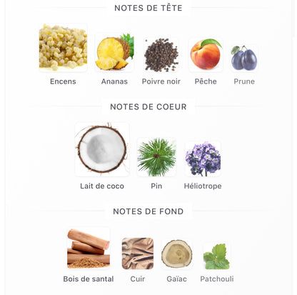 AMOUAGE Line 618