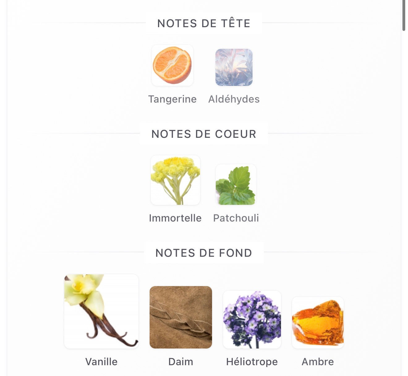 GUERLAIN CUIR BÉLUGA