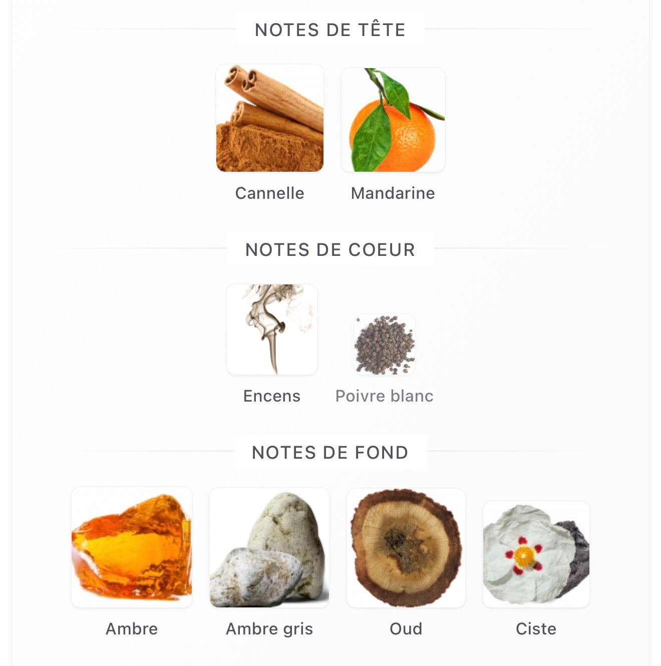 LV Ambre Levant