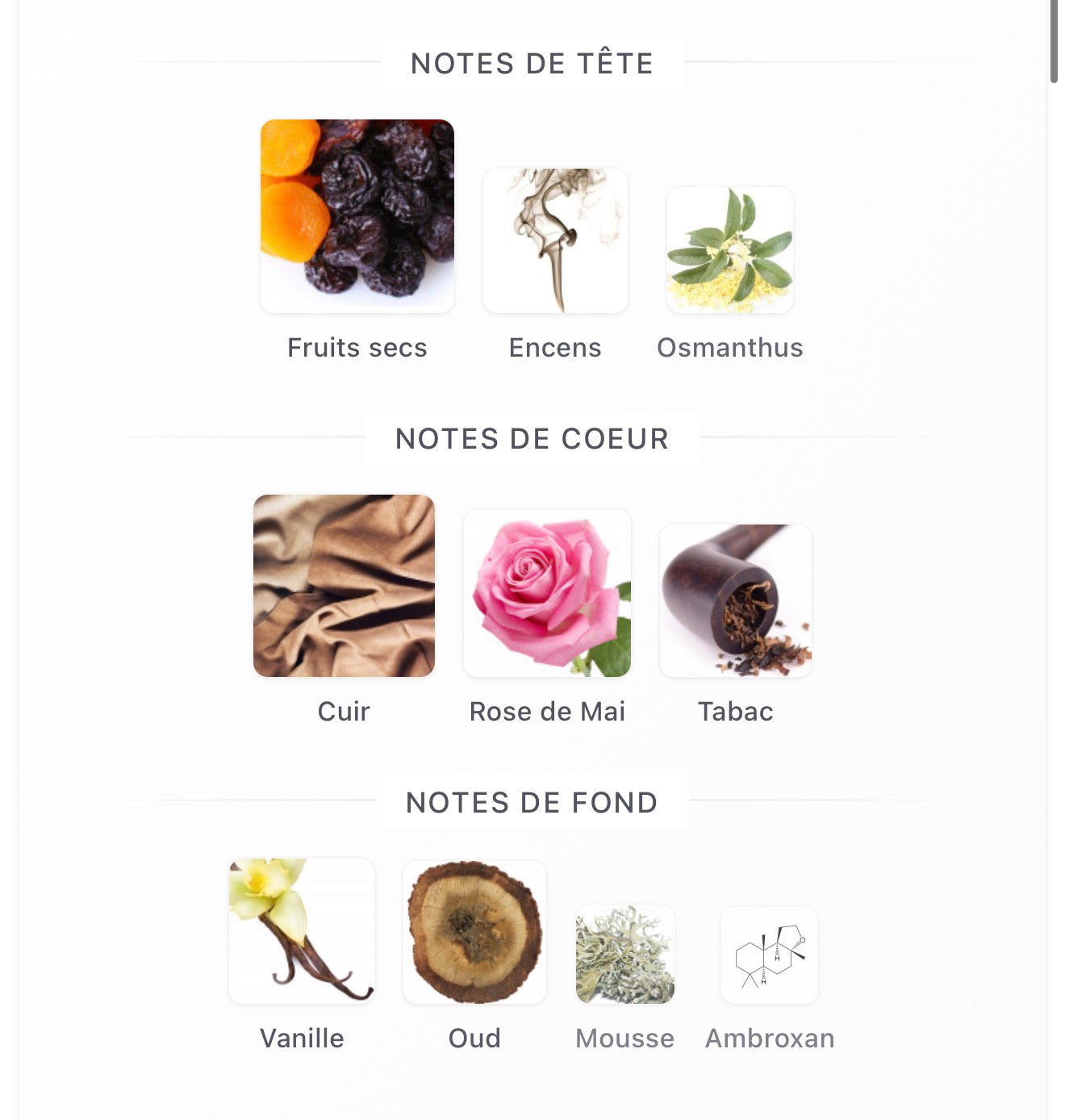 ARMANI Cuir Majesté