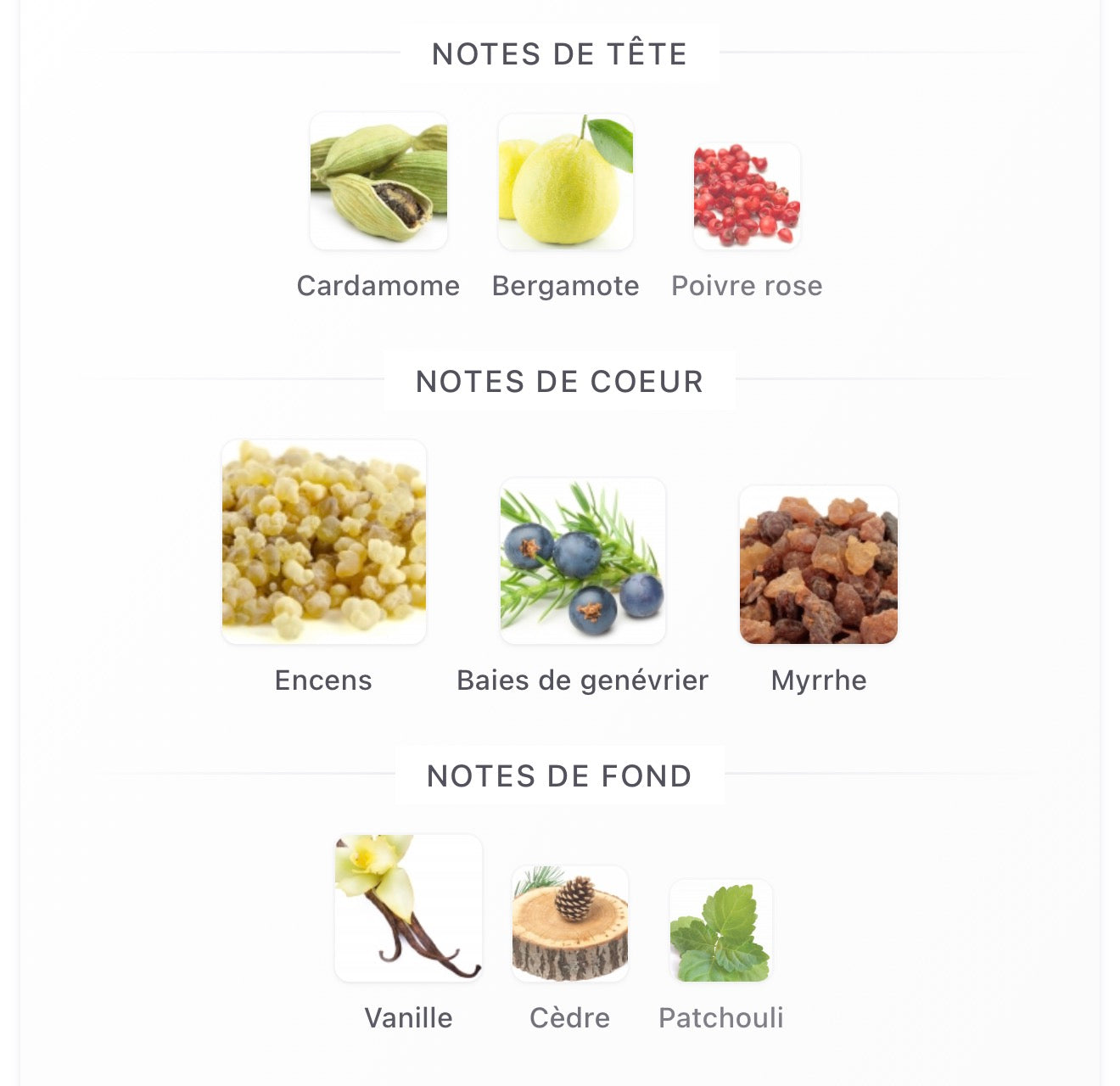 AMOUAGE Décision