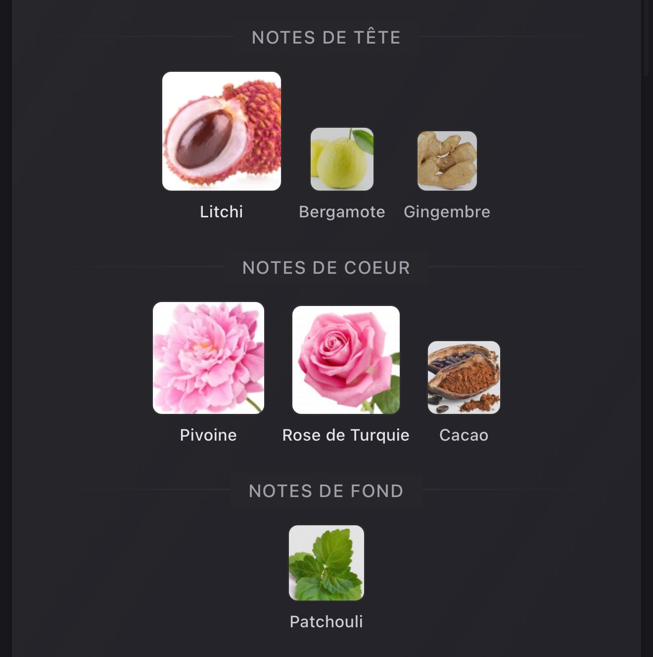 LV Attrape-Rêves