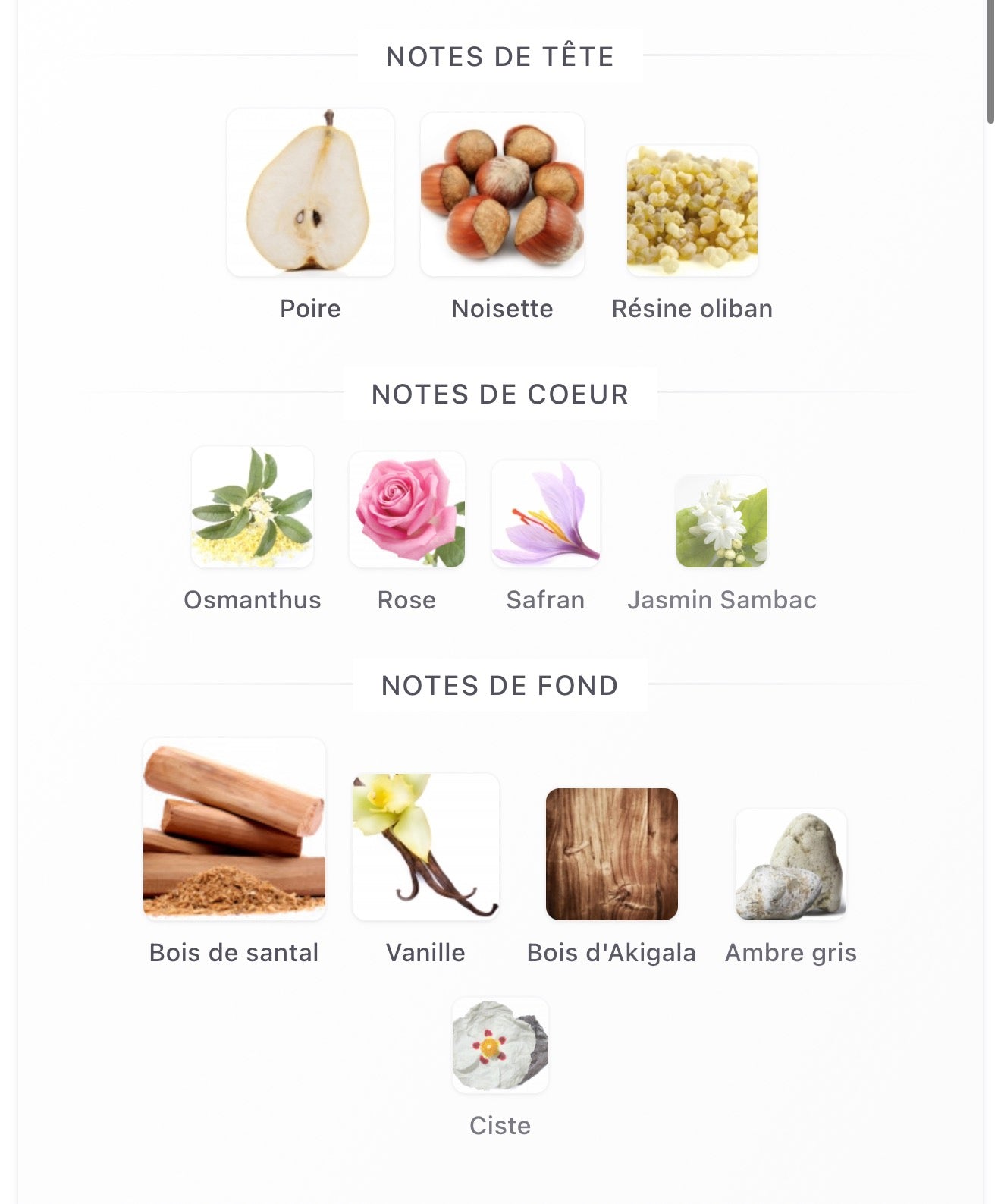 AMOUAGE Guidance