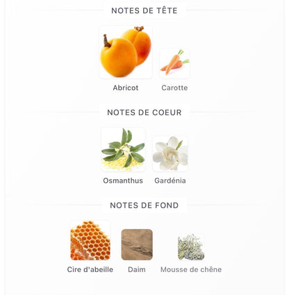 OMAN LUXURY Belfiore